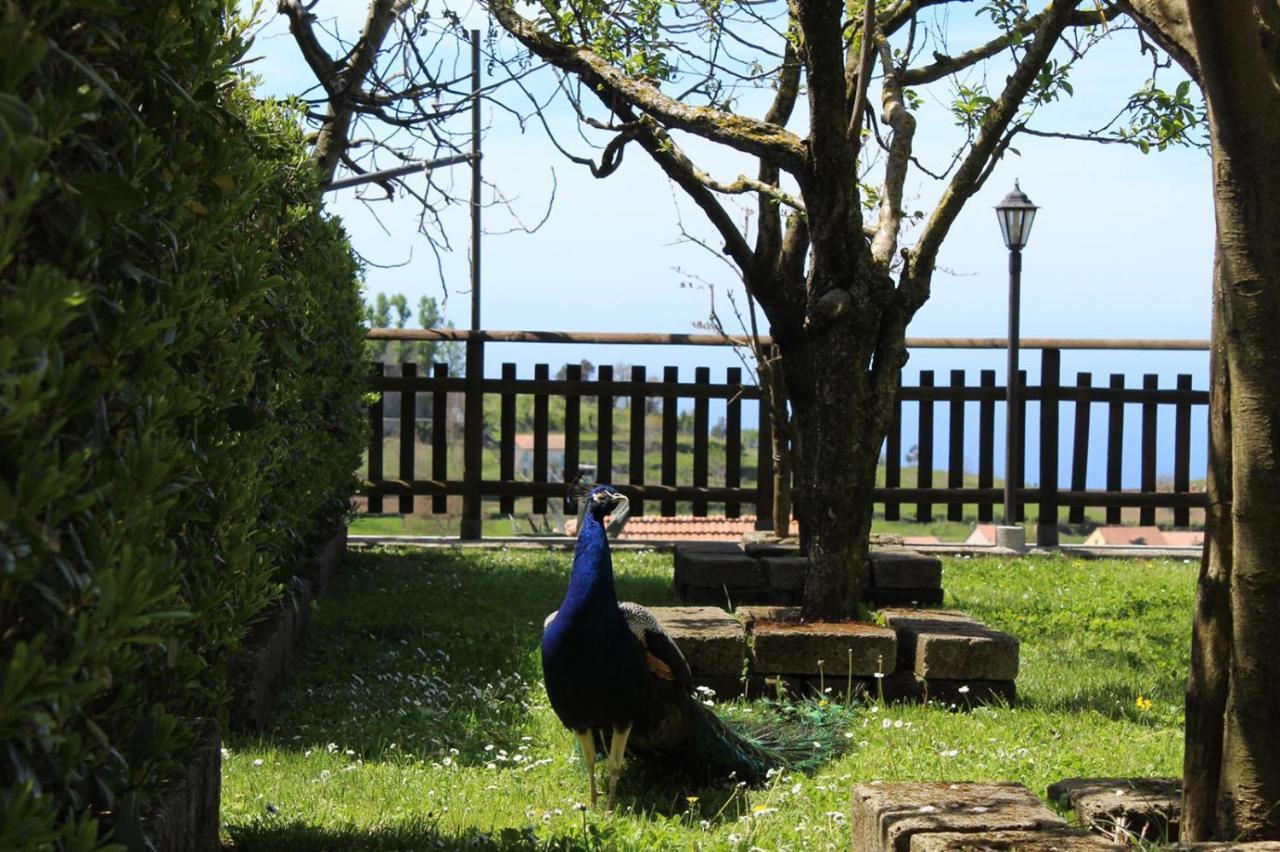 Agriturismo La Baita Аджерола Экстерьер фото